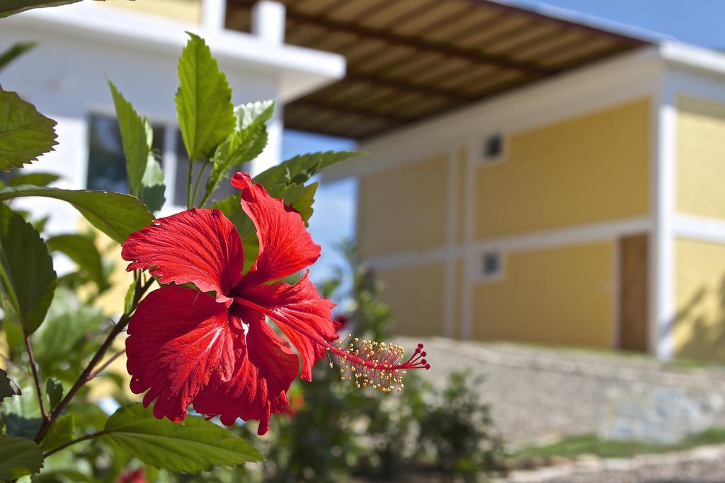 B&B El Mirador Al Mar Sosúa Kültér fotó